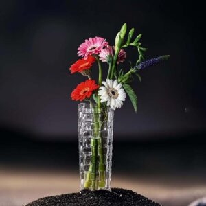 Lọ hoa pha lê Nachtmann Bossa Nova