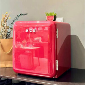 Tủ lạnh mini HCK 48L