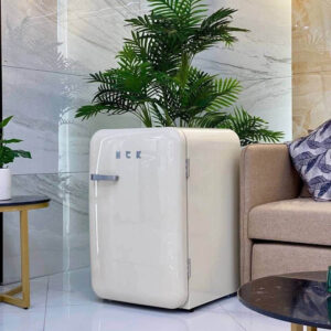 Tủ lạnh Retro HCK 107L phiên bản EU