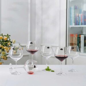 Bộ 6 ly vang Bohemia Viola 570ml